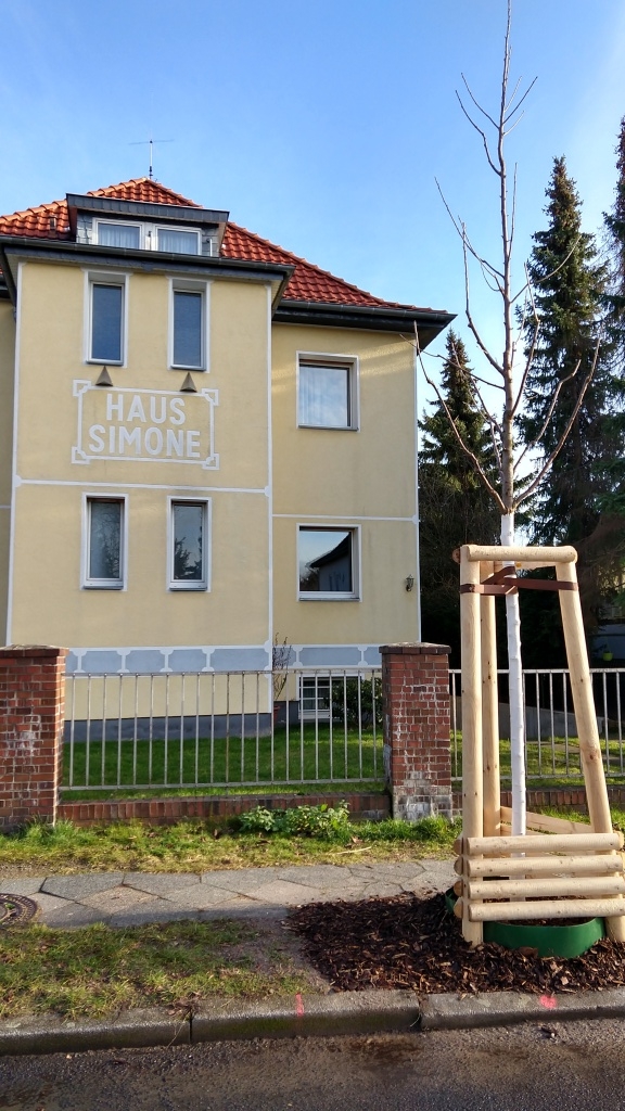 Baum1.jpg