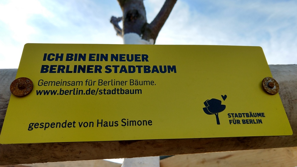 Baum2.jpg