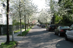 Schreberstrasse